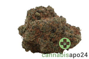 Remexian 27/1 GJY LIB Liberty Haze