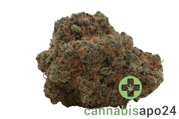 Remexian 27/1 GJY LIB Liberty Haze