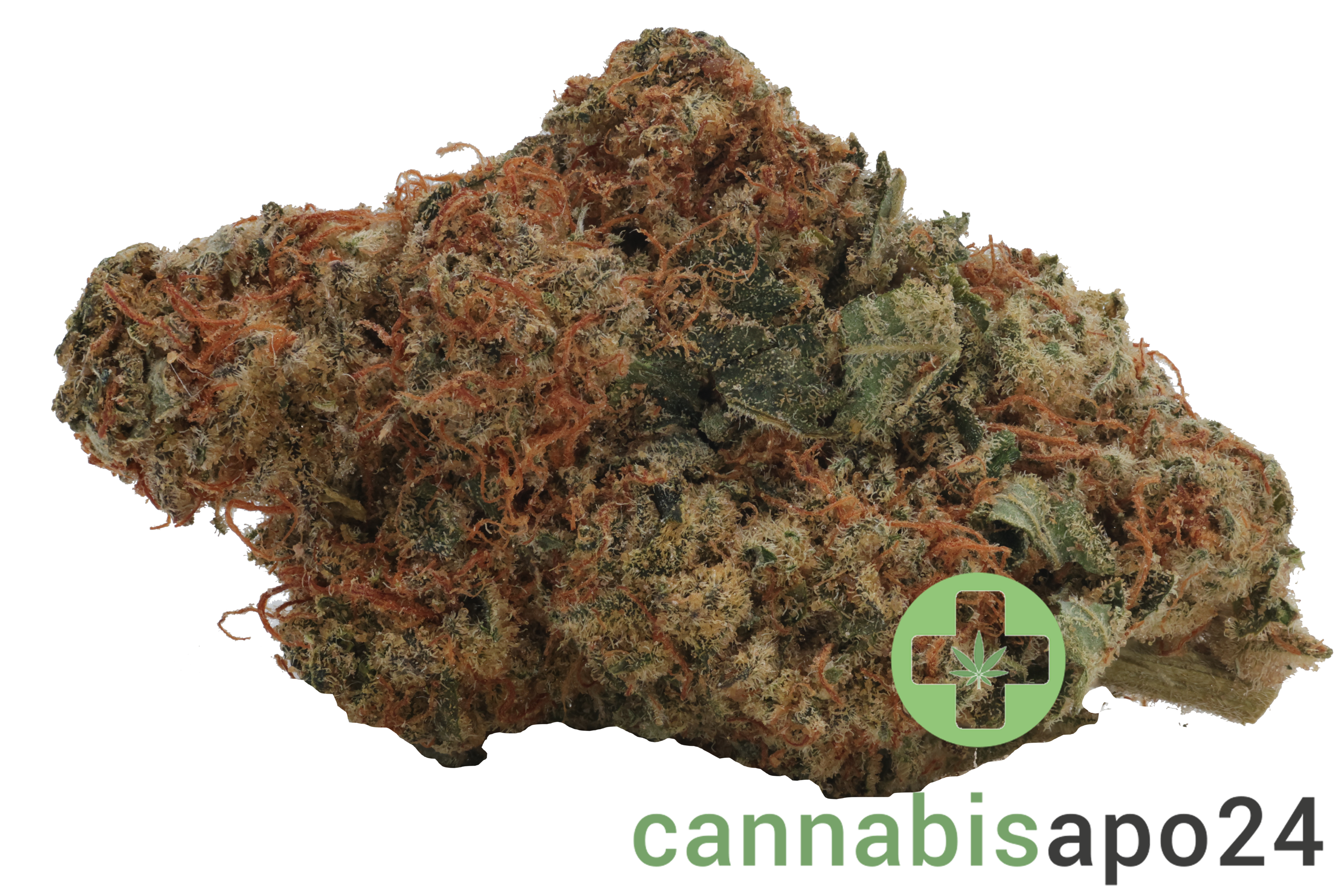 Remexian 27/1 HCC CTF Curtainfall