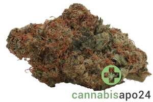 Remexian 27/1 HCC CTF Curtainfall