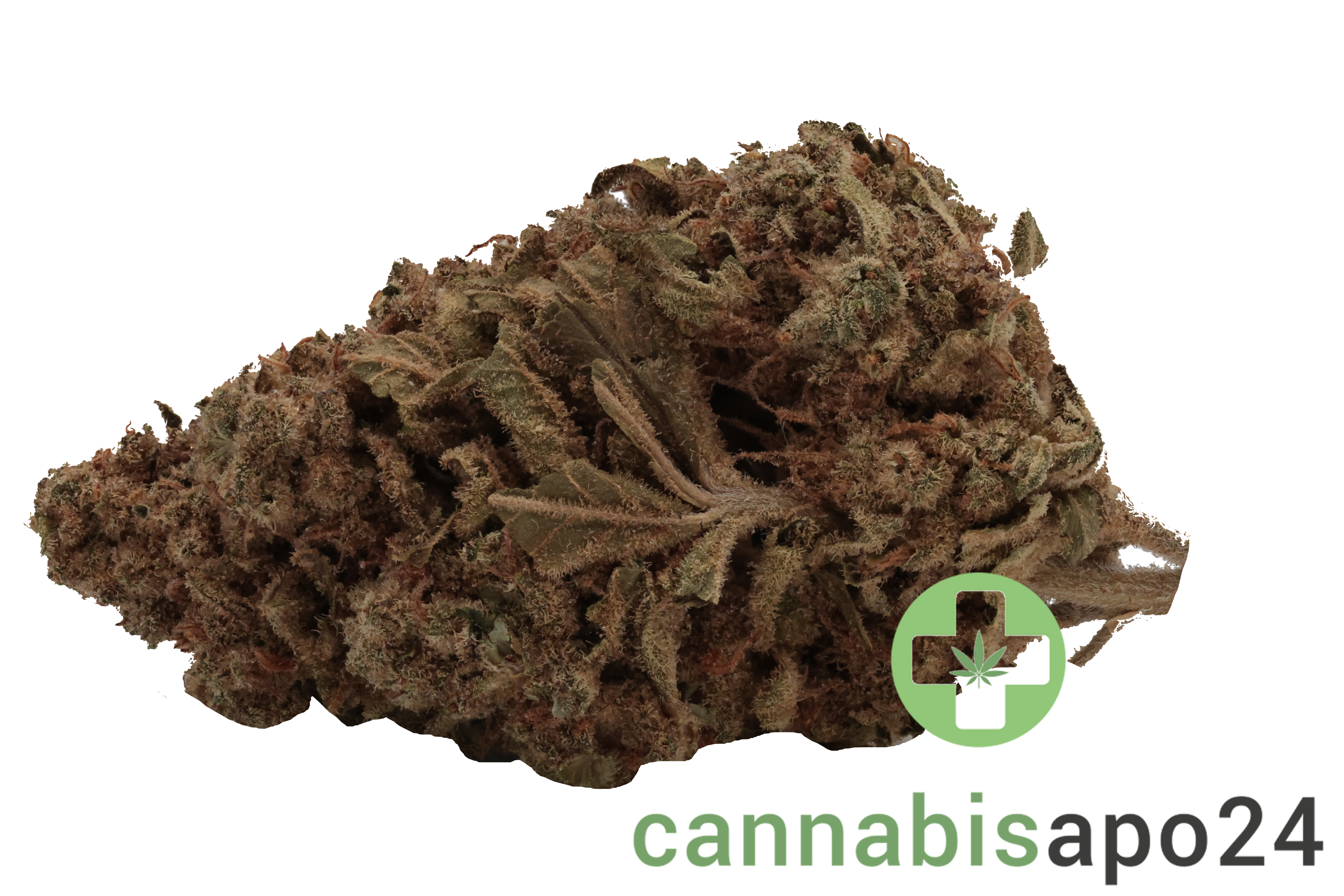 Remexian 27/1 OTA ZAD Zanda's Dream