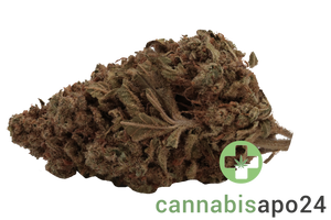 Remexian 27/1 OTA ZAD Zanda's Dream