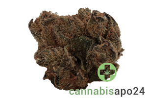 Remexian 27/1 PGF WRZ White Runtz