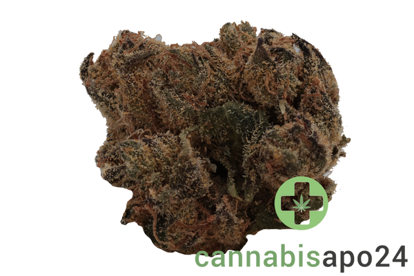 Remexian 27/1 PGF WRZ White Runtz