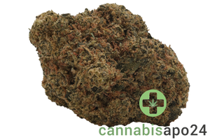 Remexian 27/1 TWE BOG Blueberry OG