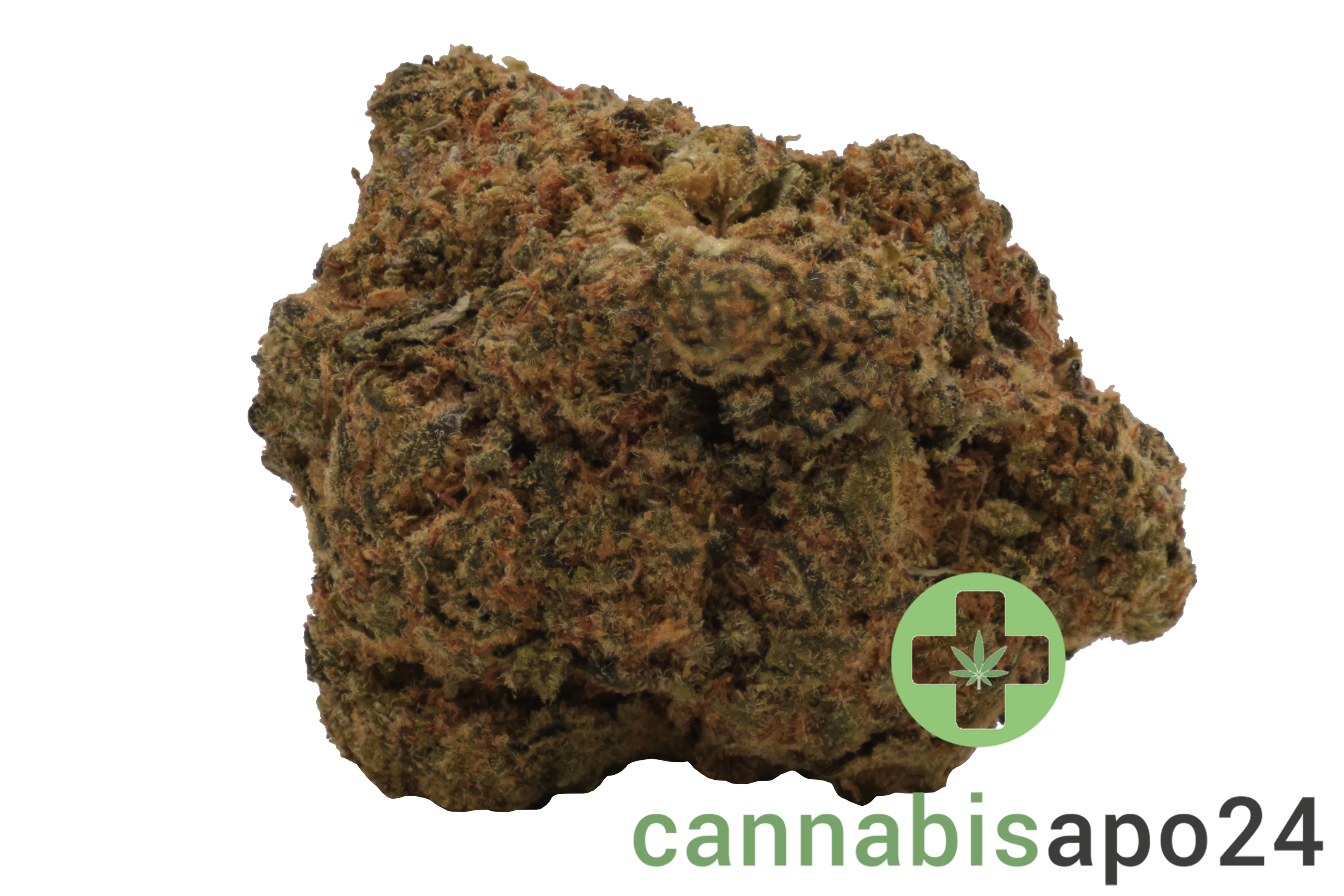 Remexian 27/1 TWE OGD OG Deluxe