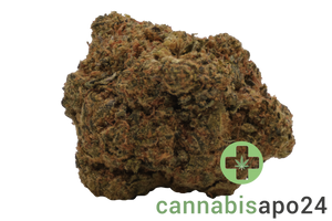 Remexian 27/1 TWE OGD OG Deluxe