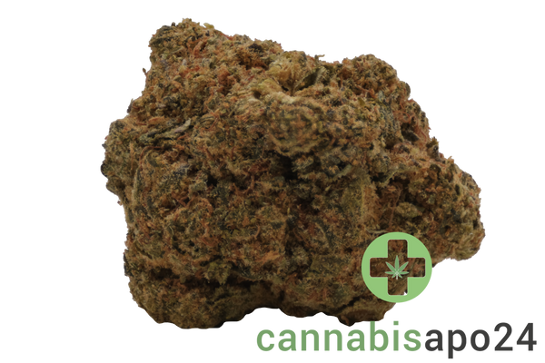 Remexian 27/1 TWE OGD OG Deluxe