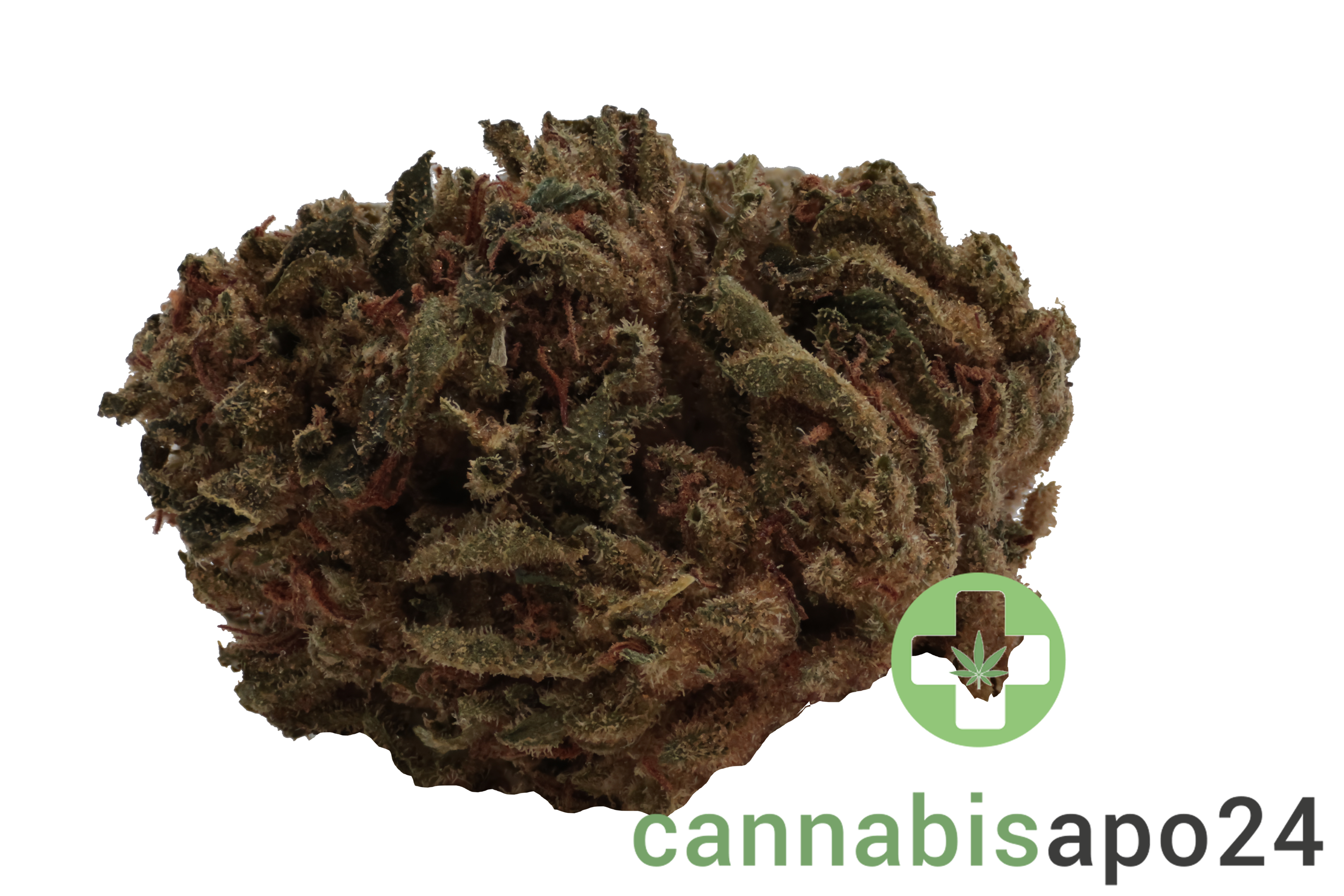 Remexian 30/1 CAL PTS Phantom Shape