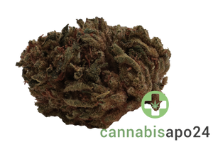 Remexian 30/1 CAL PTS Phantom Shape