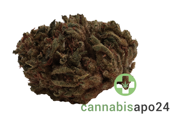 Remexian 30/1 CAL PTS Phantom Shape