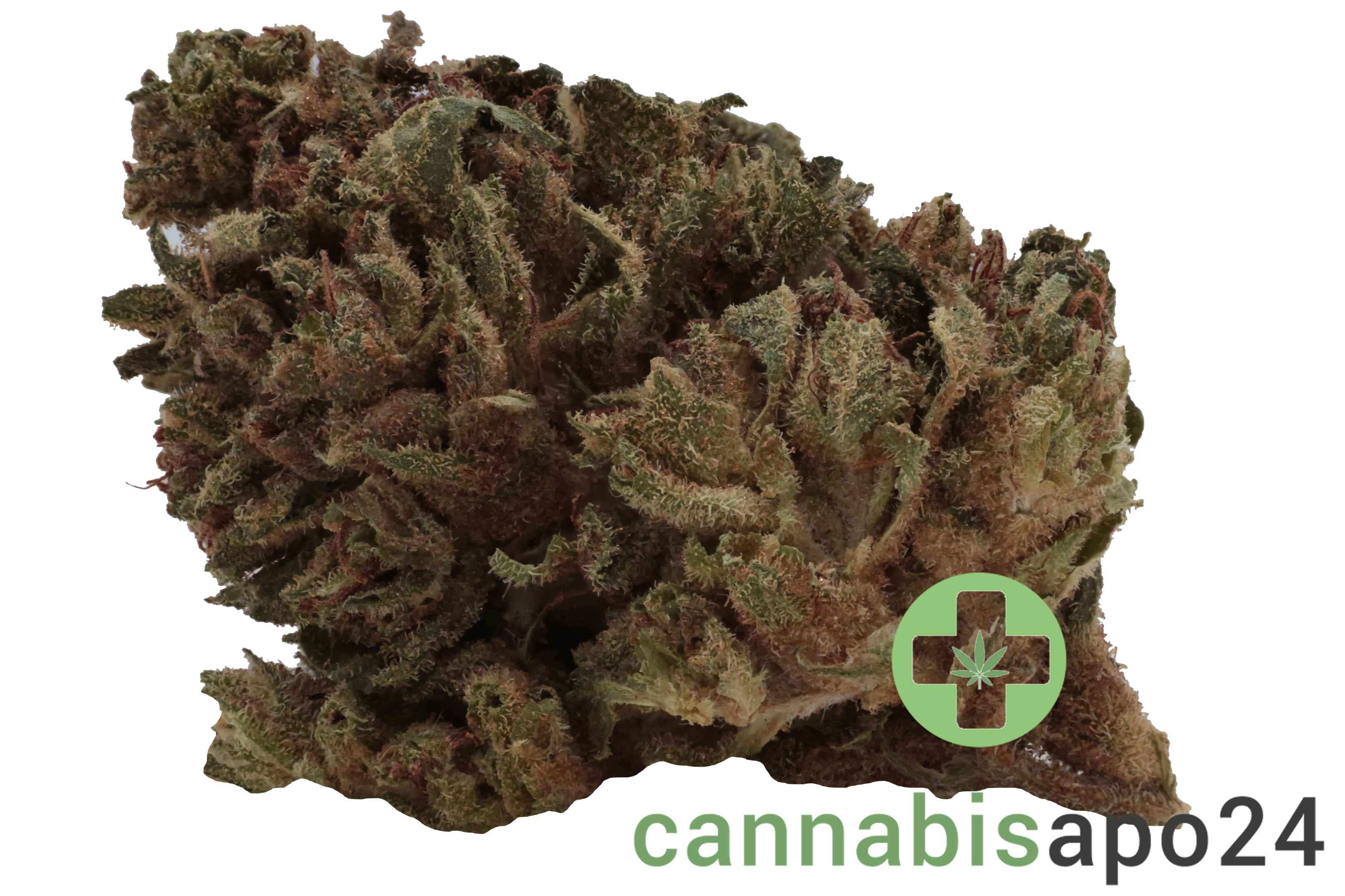 Remexian 30/1 CAL VVT Valvetron