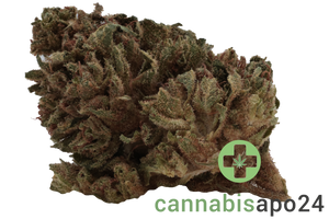 Remexian 30/1 CAL VVT Valvetron