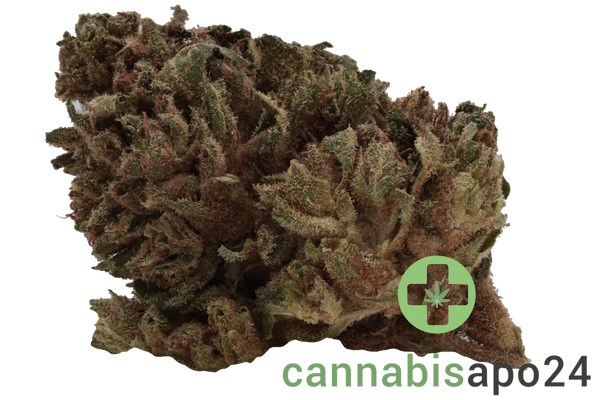 Remexian 30/1 CAL VVT Valvetron