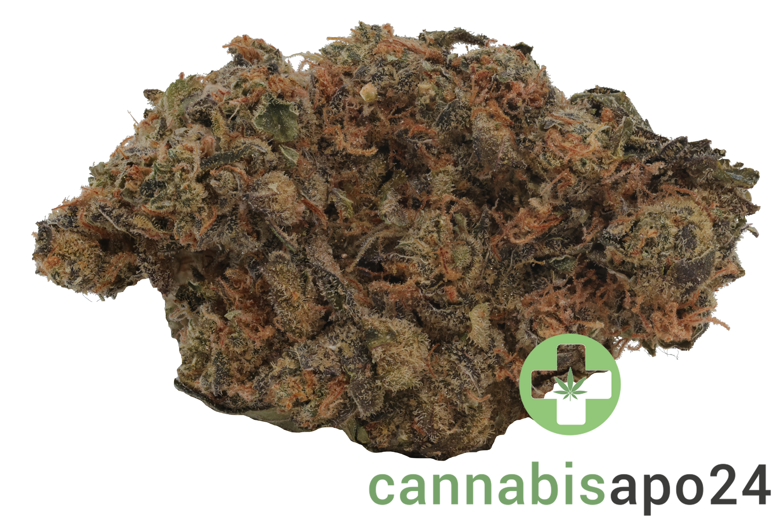 Remexian 30/1 CEE CHE Chem Cookies