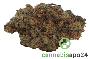 Remexian 30/1 CEE CHE Chem Cookies