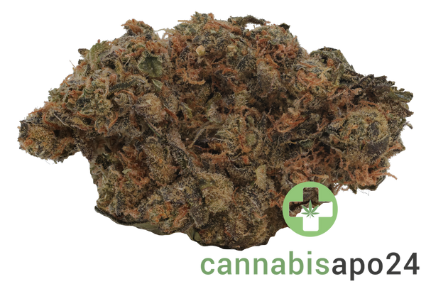 Remexian 30/1 CEE CHE Chem Cookies