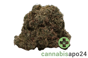 Remexian 30/1 CRX GMO Breath