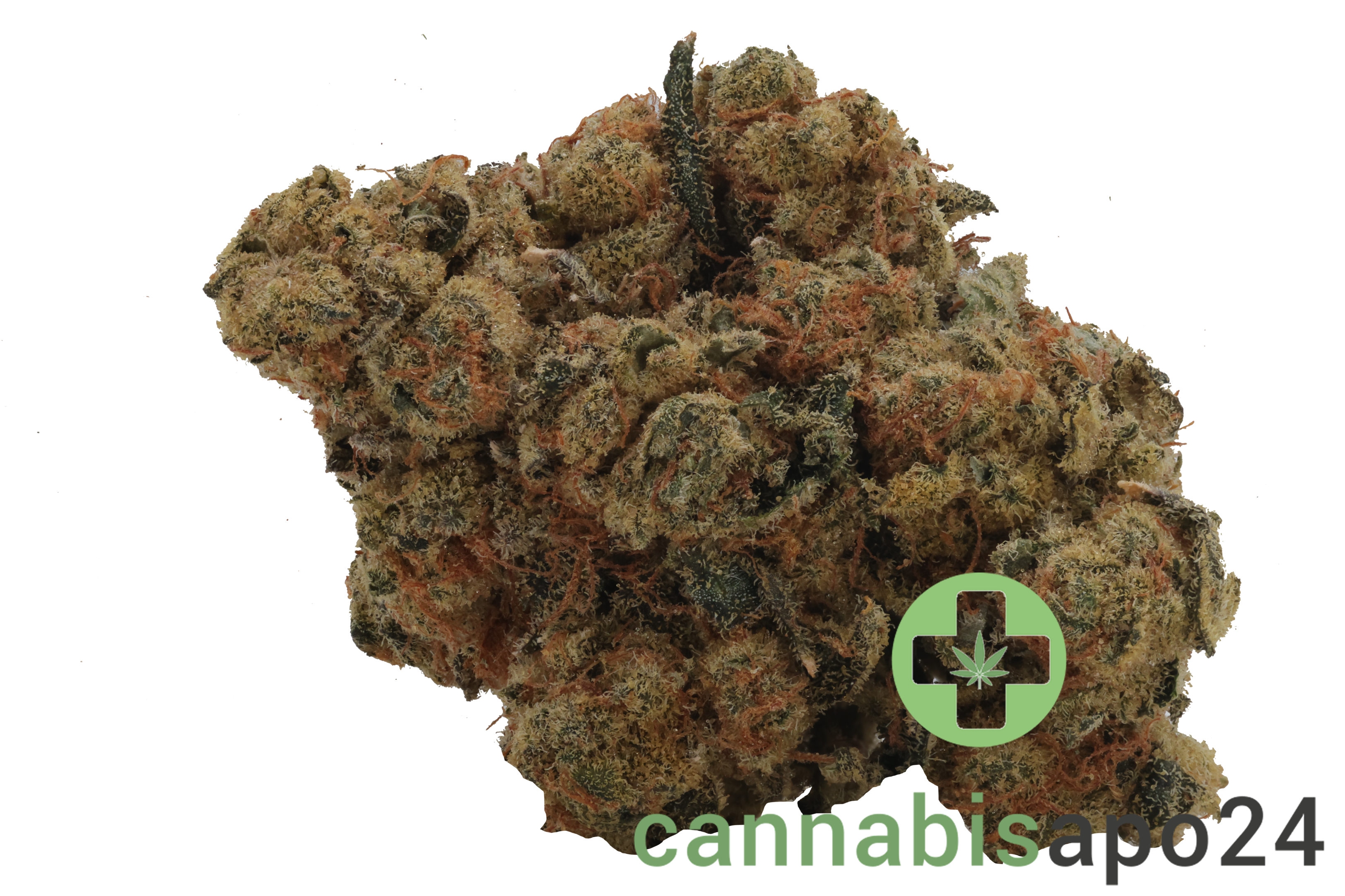 Remexian 30/1 HCC ARR Arctic Reaper