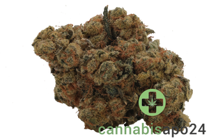 Remexian 30/1 HCC ARR Arctic Reaper