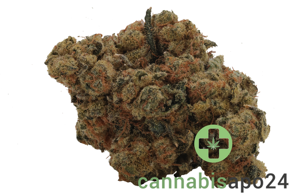 Remexian 30/1 HCC ARR Arctic Reaper