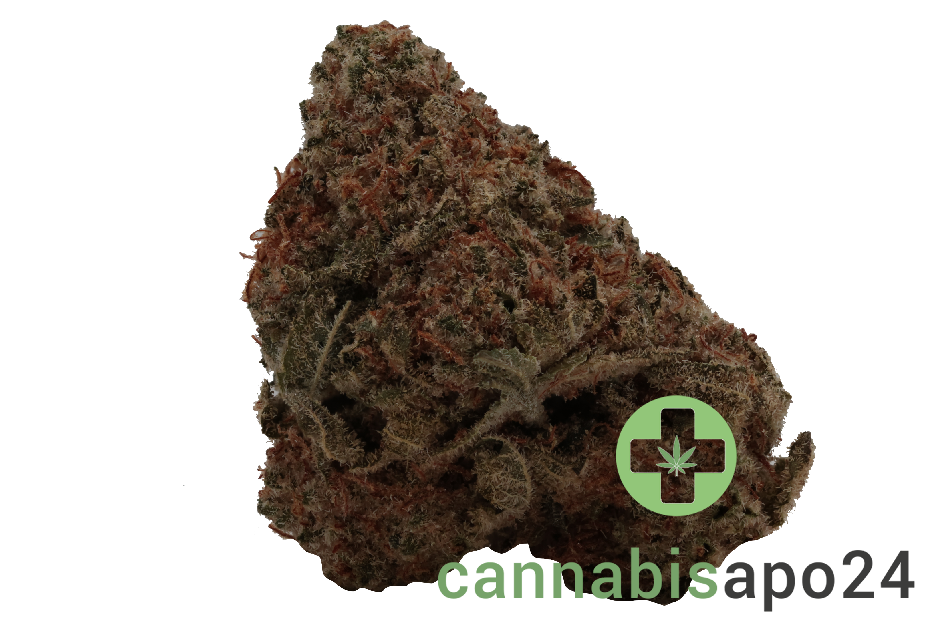 Remexian 30/1 LIV DGR Daily Grape