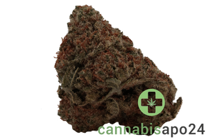 Remexian 30/1 LIV DGR Daily Grape