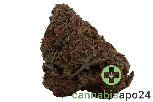 Remexian 30/1 LIV DGR Daily Grape