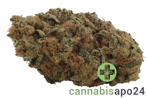 Remexian 30/1 RFA PSC Purp Sherb Cake