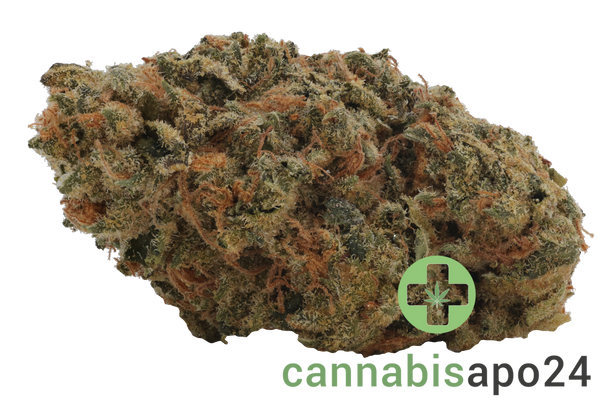 Remexian 30/1 RFA PSC Purp Sherb Cake