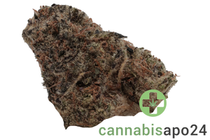 Remexian 33/1 BCL GRY Grape Yogurt