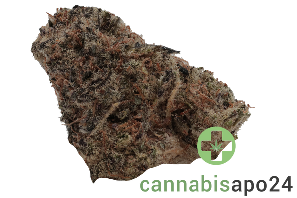 Remexian 33/1 BCL GRY Grape Yogurt