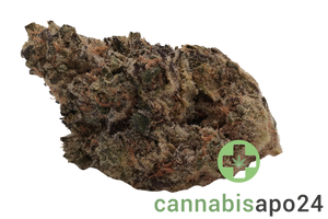 Remexian 33/1 GJY FLV - Flawless Victory