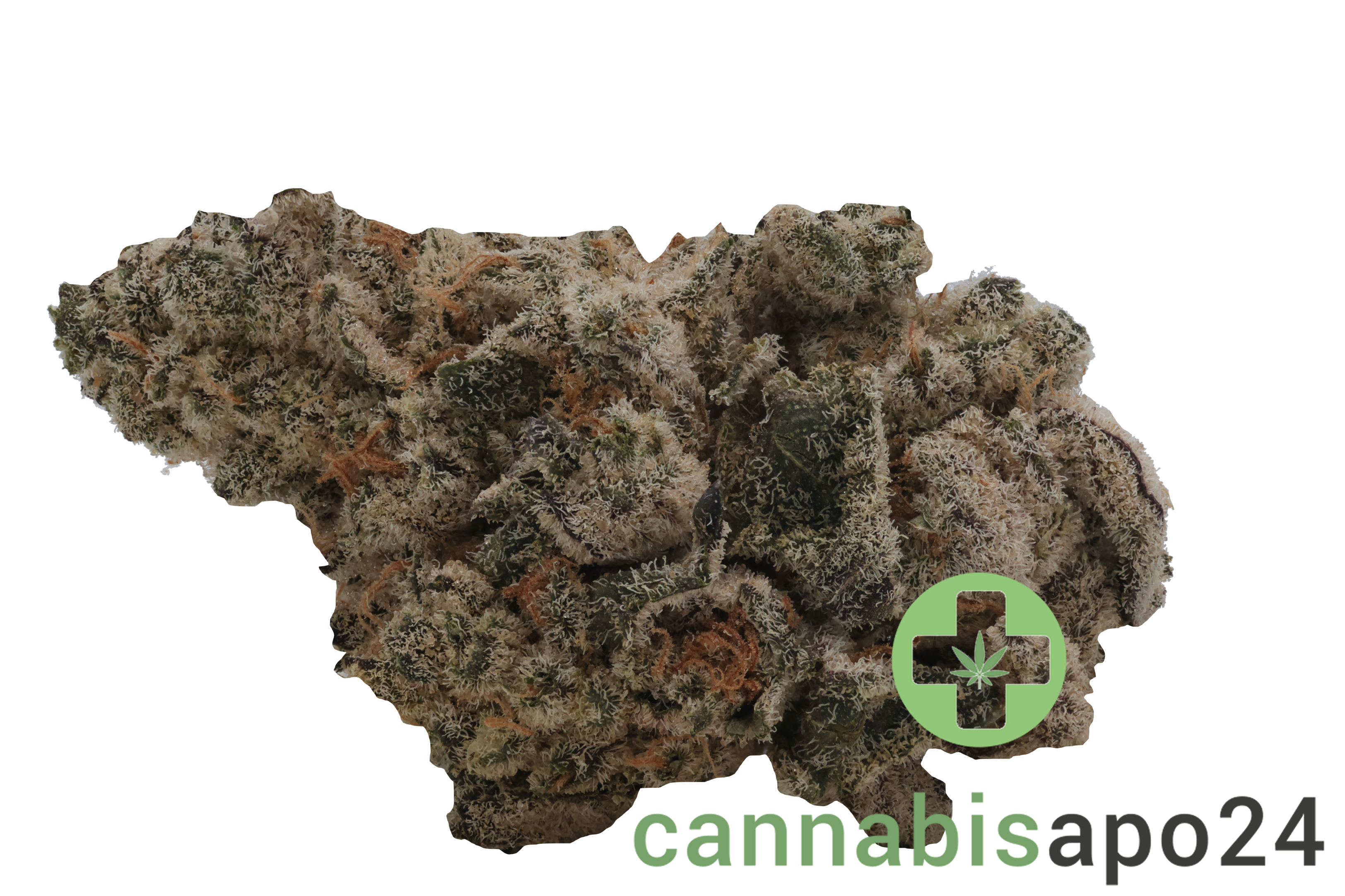 Remexian 33/1 MTL DIN Dante' z Inferno