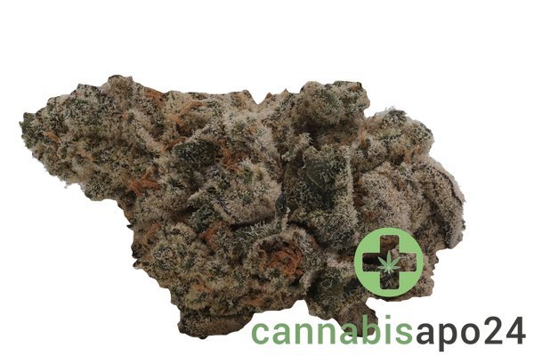 Remexian 33/1 MTL DIN Dante' z Inferno