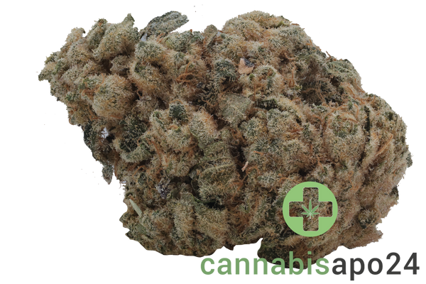 Remexian 33/1 MTL WCK Wes' Coast Kush