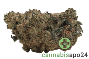 Remexian 33/1 TRF CHD Chemdawg