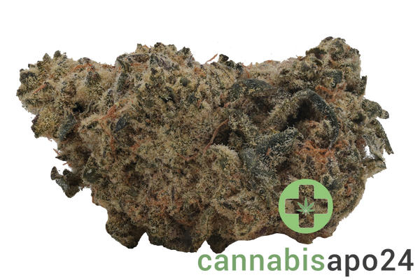 Remexian 33/1 TRF CHD Chemdawg