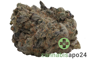 Remexian 33/1 TRF GSK Golden State Kush