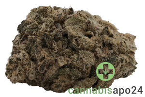 Remexian 36/1 HMA LPP Lemon Pepper Punch