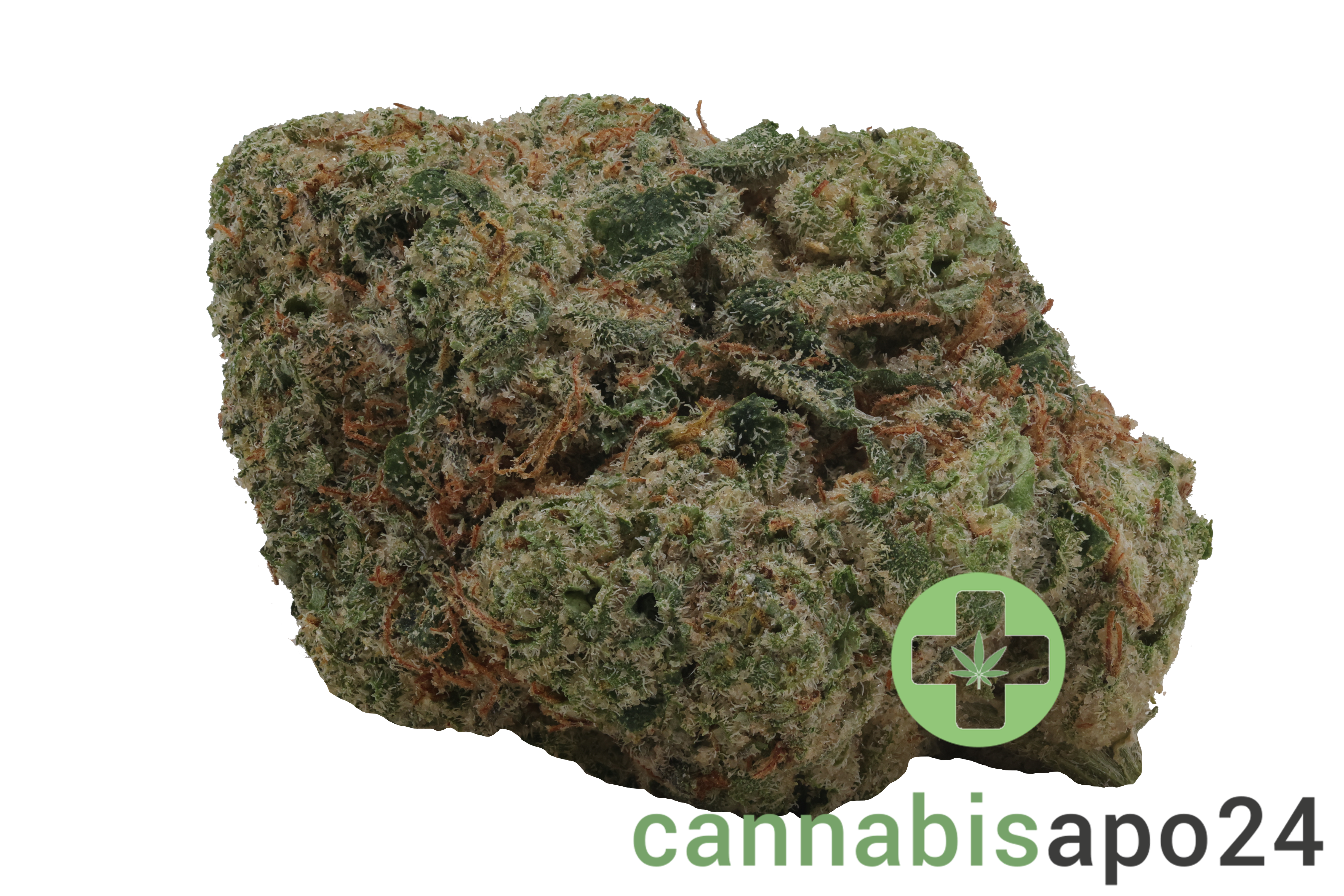San Raf 29/1 PNK Pink OG Kush