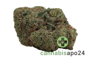 San Raf 29/1 PNK Pink OG Kush