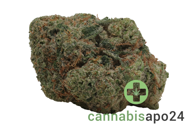 San Raf 29/1 PNK Pink OG Kush