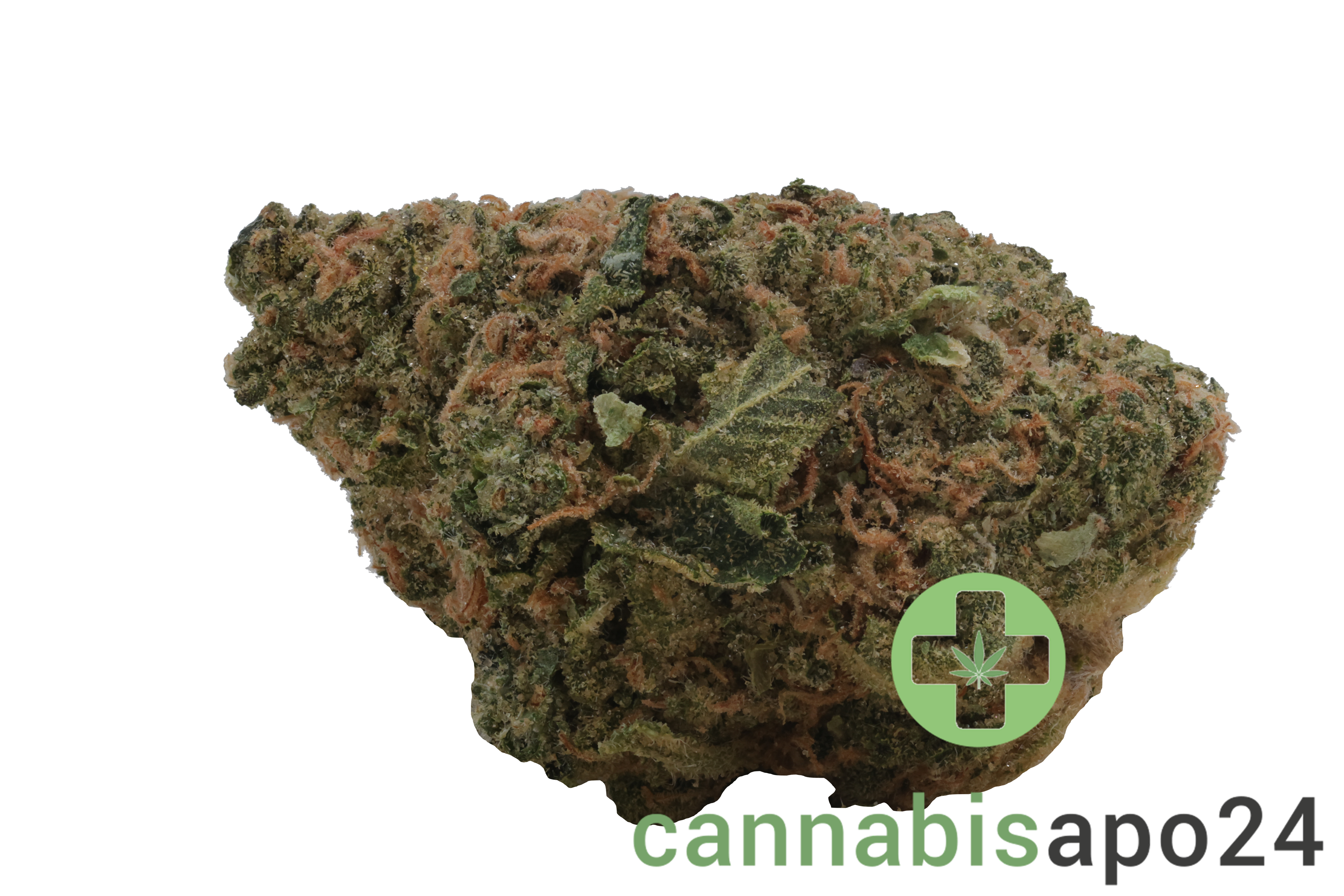San Raf 31/1 CFK Campfire Kush