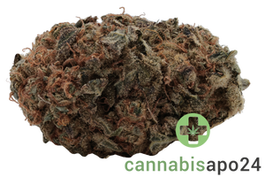 Sibanax 28/1 SHB Shishkaberry