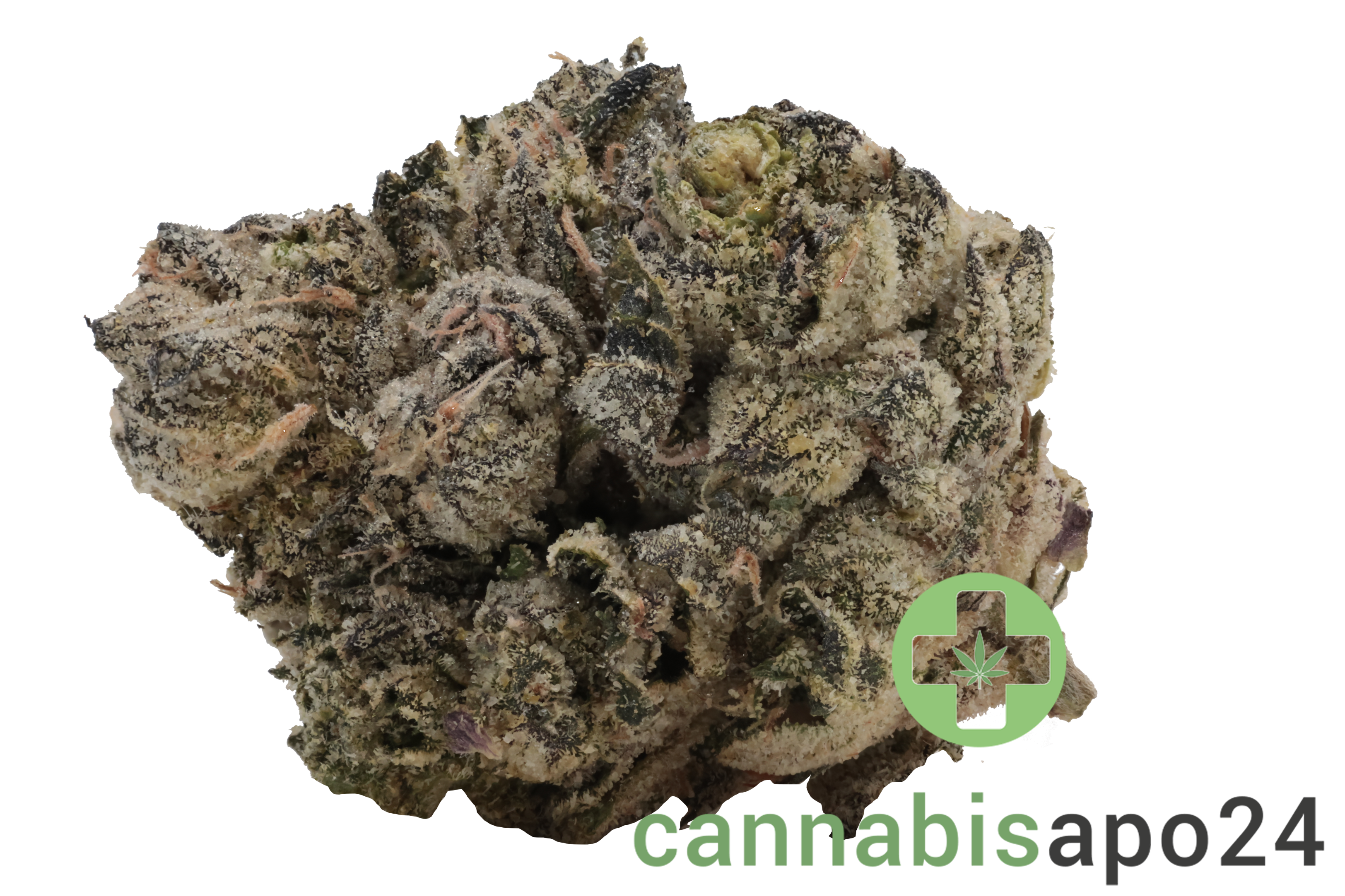 Sinceritas Verum 24/1 BK Banana Kush