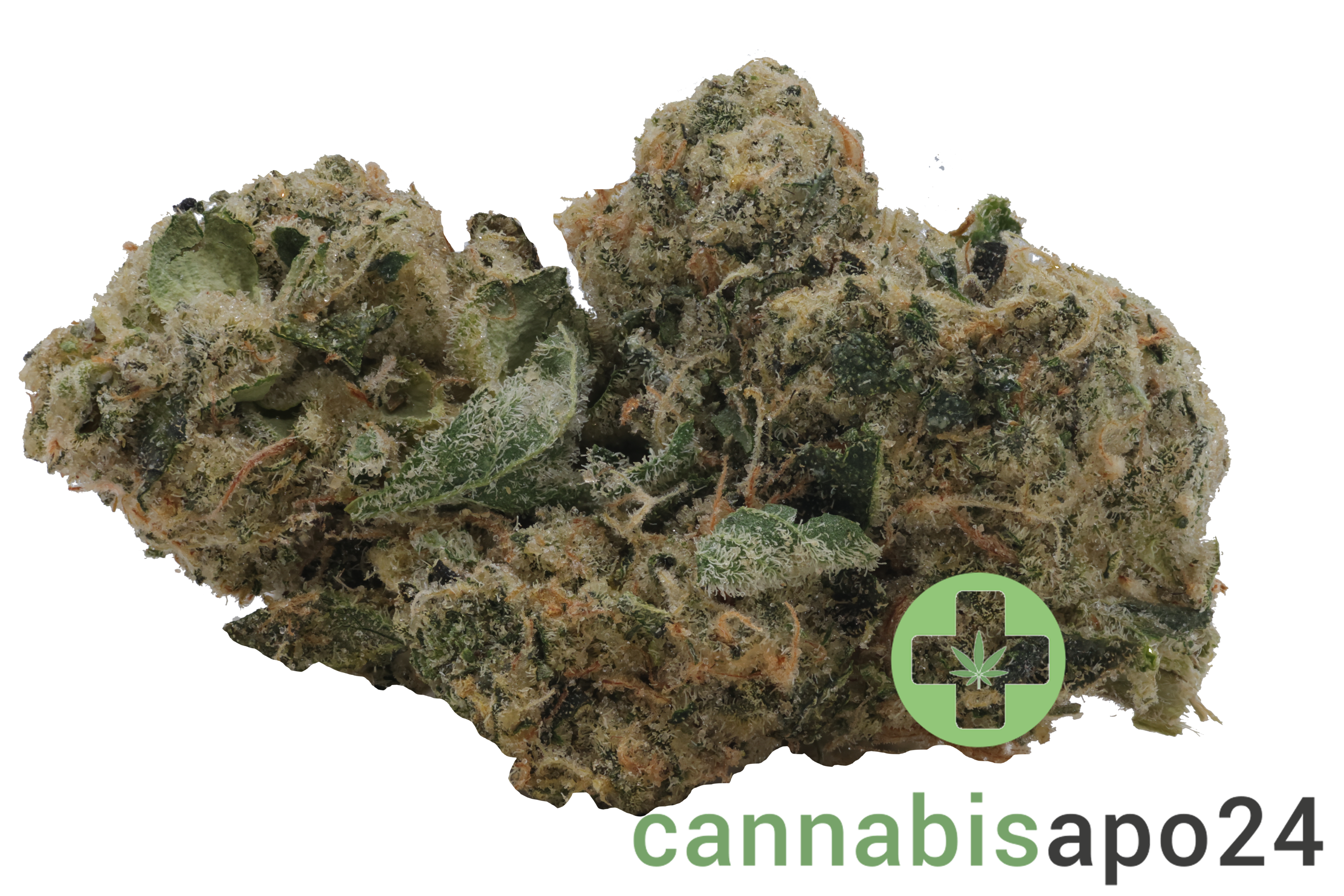 Sinceritas Sativa Auris 27/1 Cosmic MAC