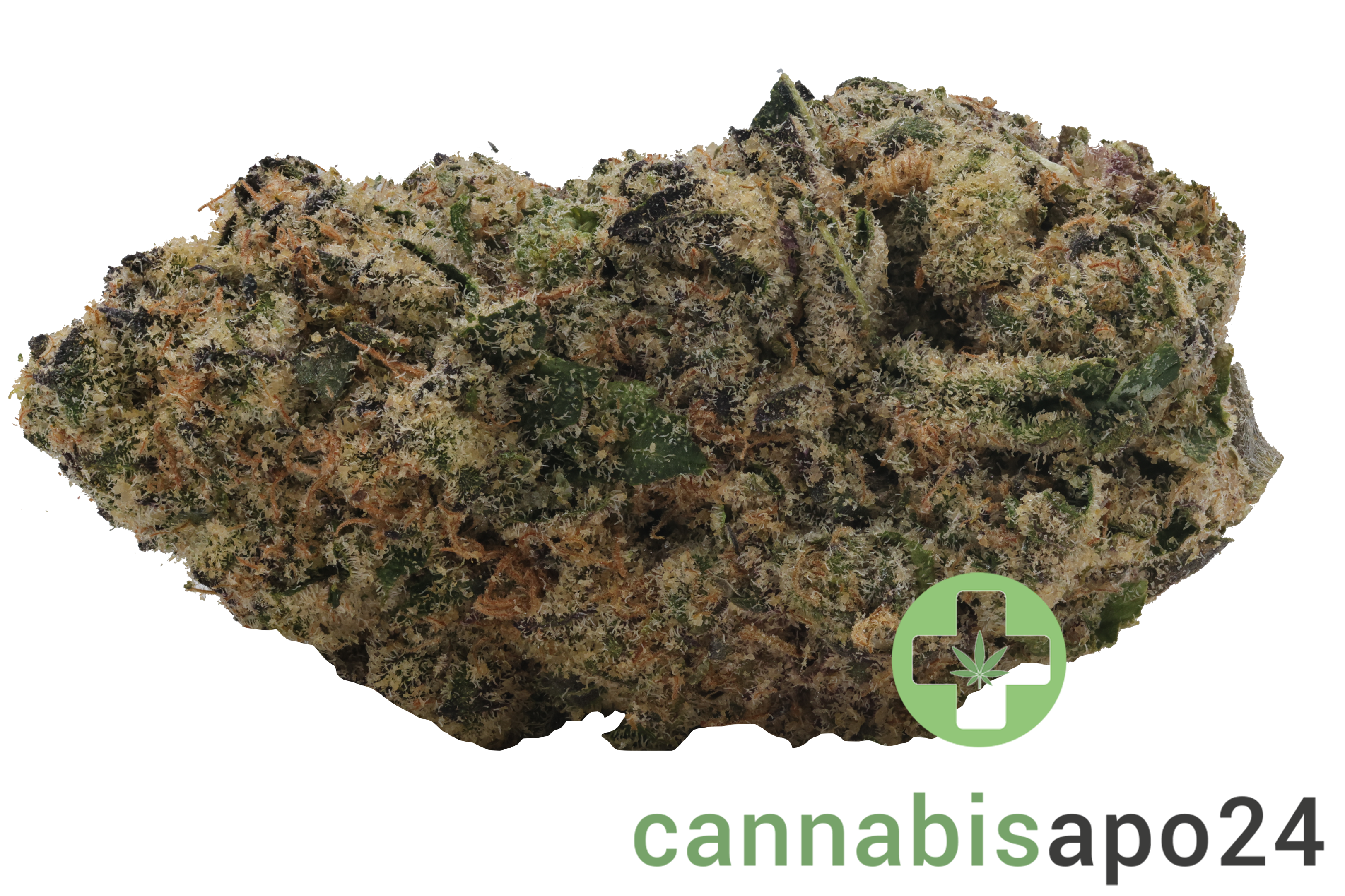 Sinceritas Sativa Verum 24/1 TC Tropical Cake