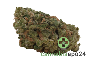 slouu 27/1 SCH CA Sour Crush Haze - smalls