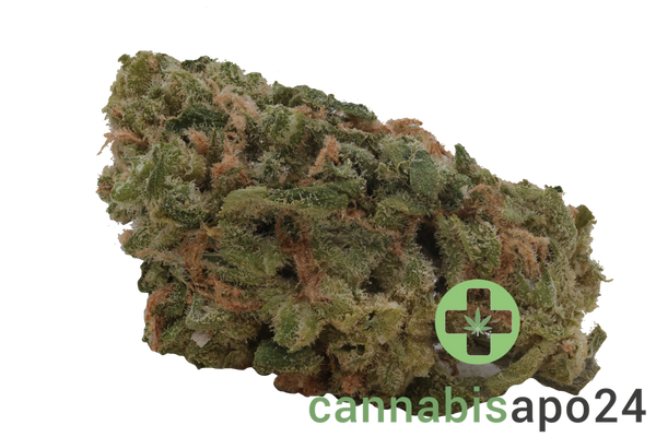 slouu 27/1 SCH CA Sour Crush Haze - smalls